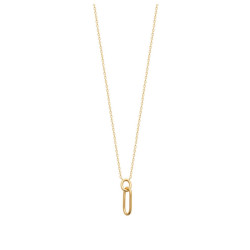 Collier Pl or 750°°°