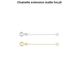 Chaînette d’extension plaqué or 750 – Rallonge collier élégante