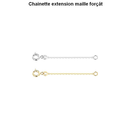 Chaînette d’extension plaqué or 750 – Rallonge collier élégante