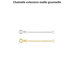 Chaînette d’extension plaqué or 750 – Rallonge collier élégante