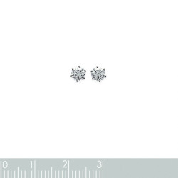 81004/4