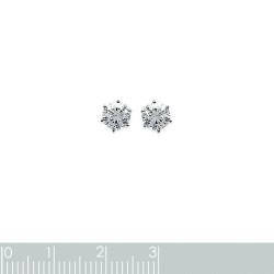 81004/5